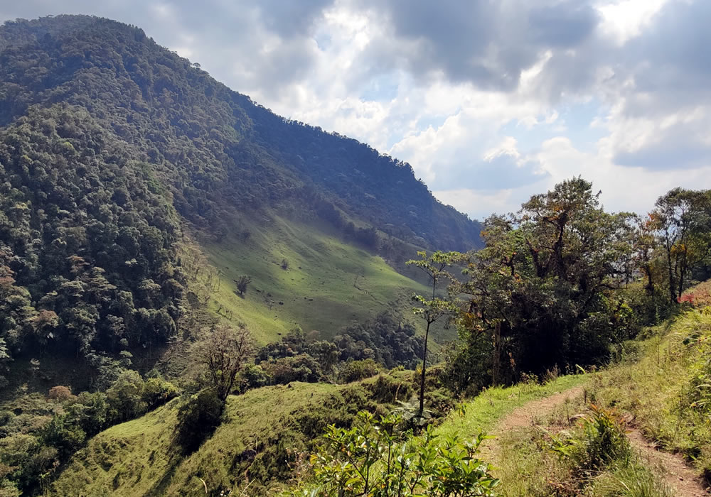 Vereda La Salada, entrada a las 7 cascadas de Jardín, Antioquia.