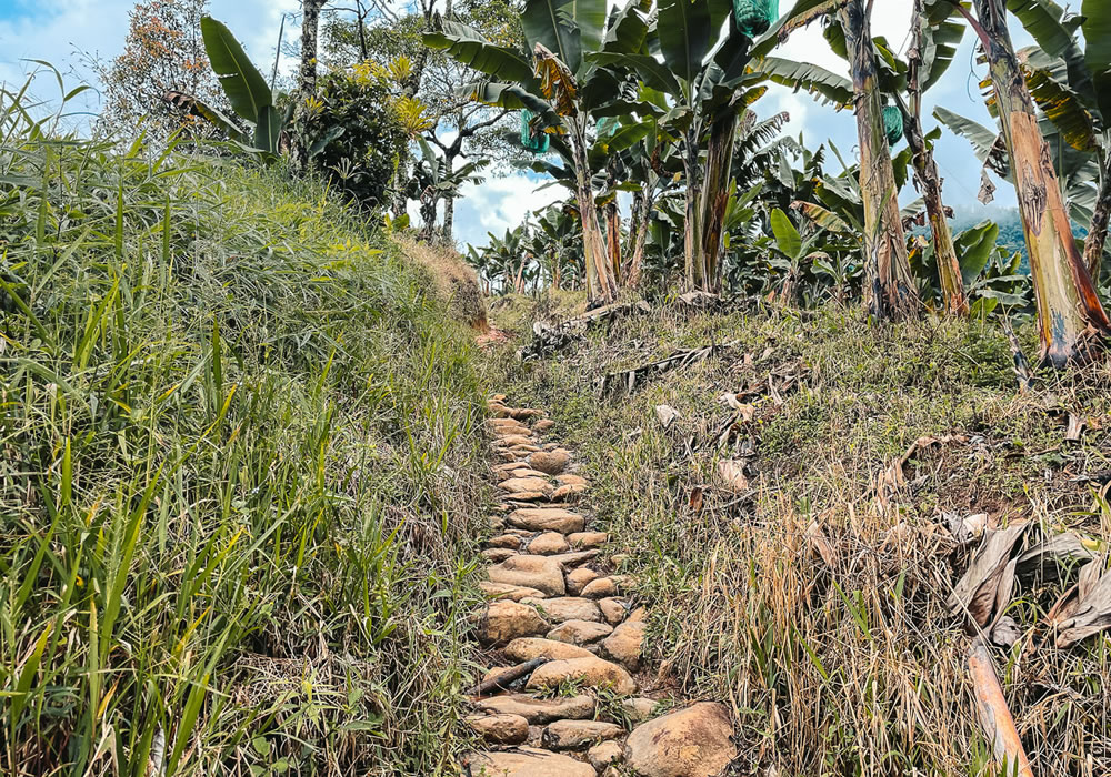 Camino de piedra en Jardín Antioquia.