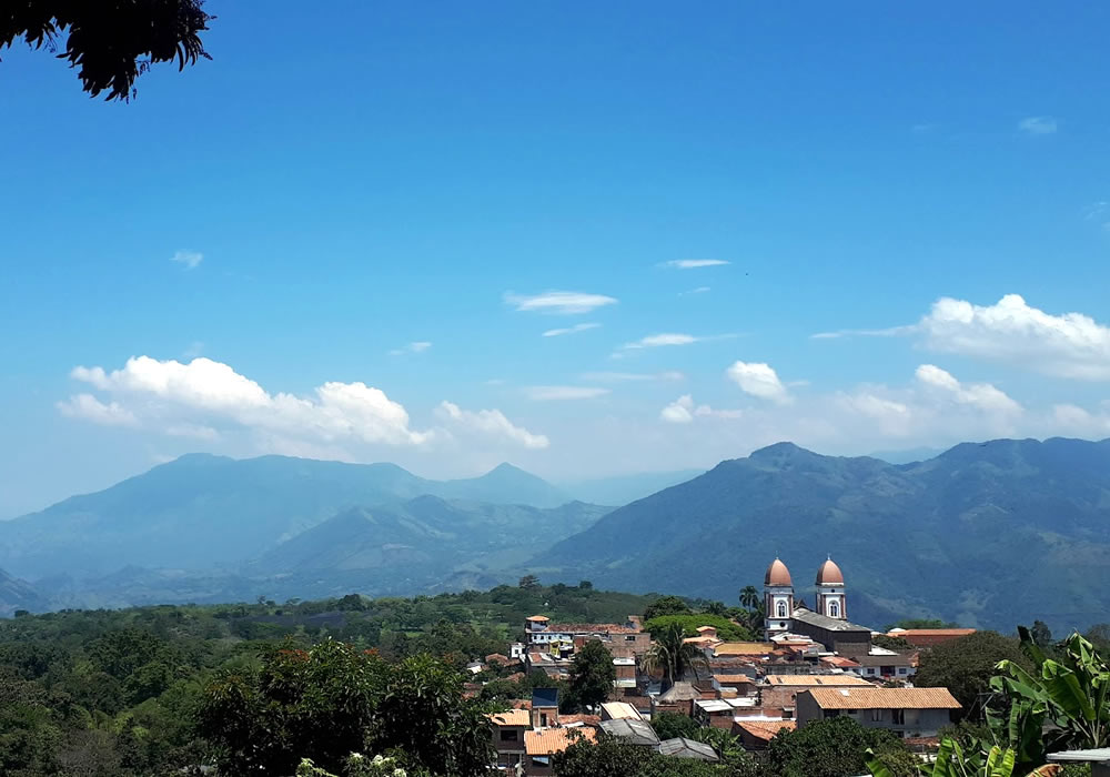 Tarso y los bosques secos tropicales.
