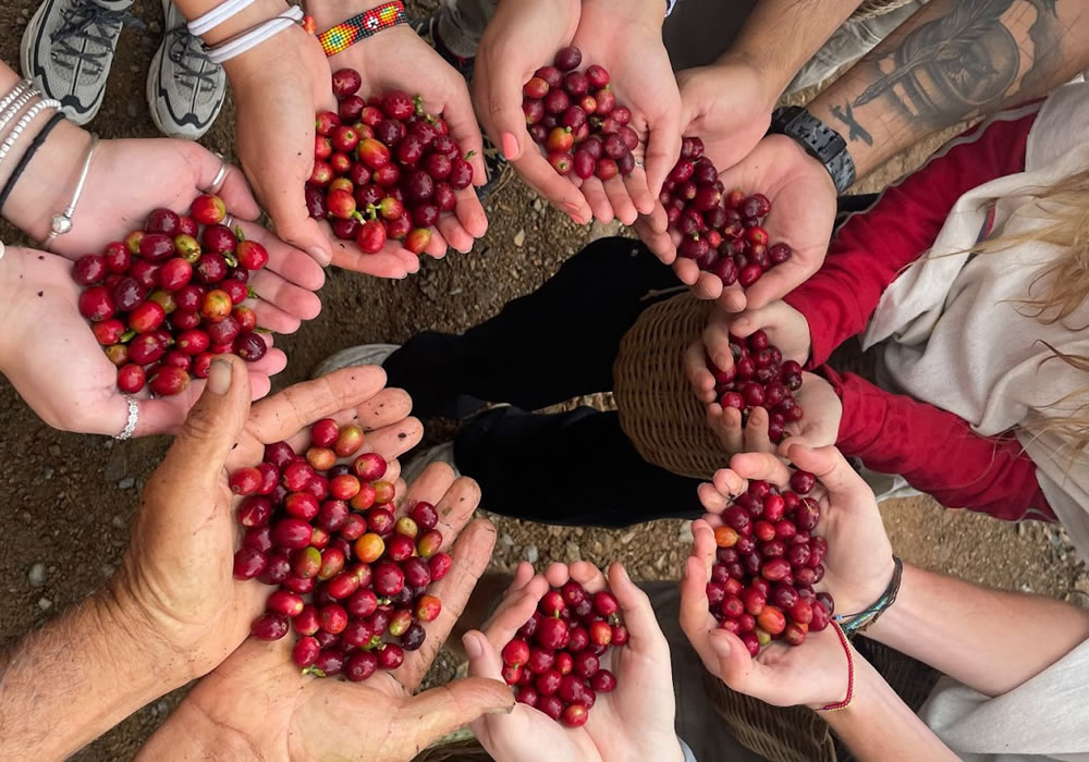 Visita una Finca Cafetera en Jardín